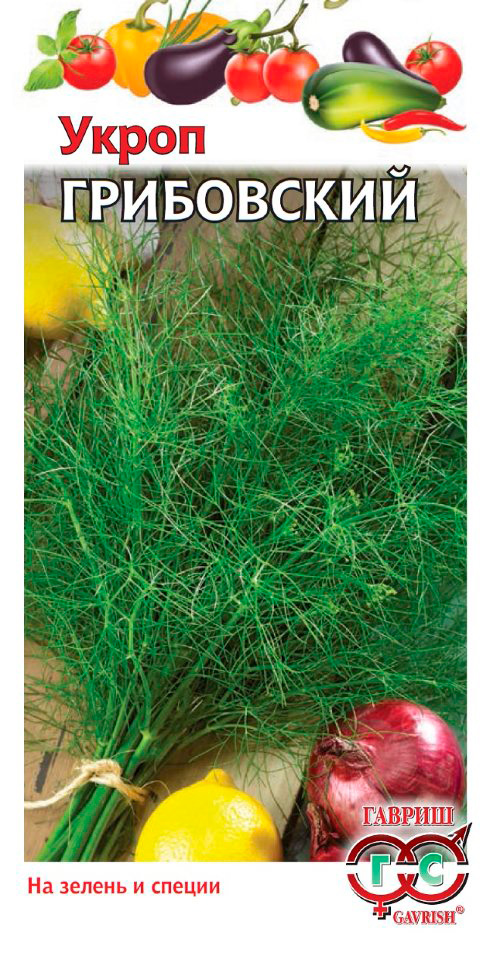 ������ ������ ������ ������ ����� ����������, 3 �   ����