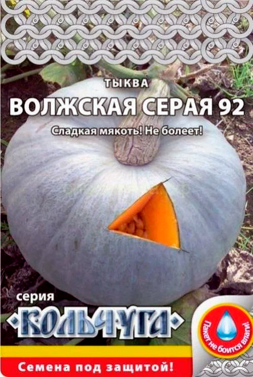 ������ ������ ������ ������� ������ ����� �������� �����, 1 � �������� NEW   ����