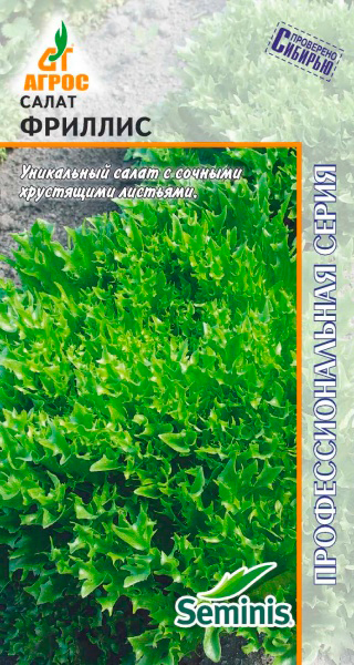 ������ ������ ������ ����� ����� �������� �������, 20 ��. Seminis ���������������� �����   ����