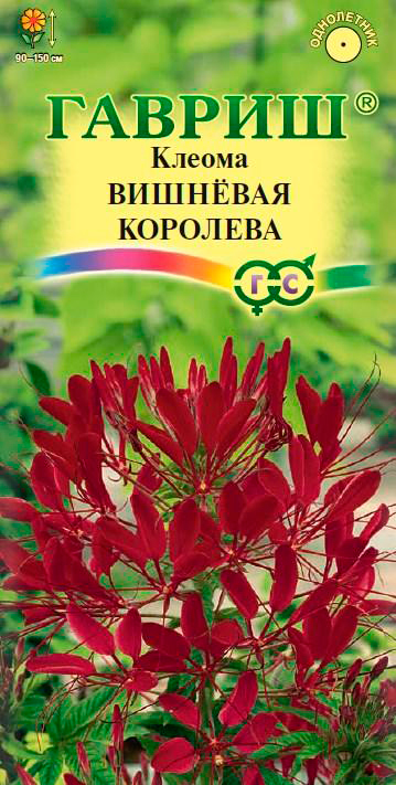 ������ ������ ������ ������ ������ �������� ��������, 0,3 �   ����