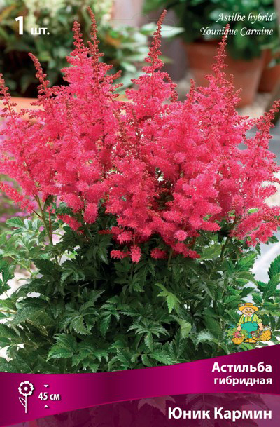 ������ ������ ���������� �������� ����� ��������� �������� ��������� ���� ������, 1 ��.   ����