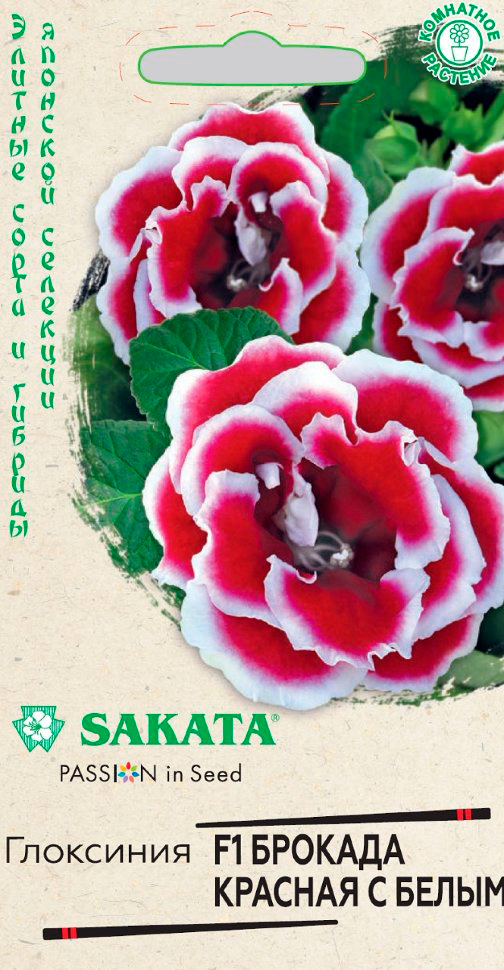         F1, 4 . Sakata    -     , -, 