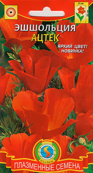 ������ ������ ������ ������� ��������� �����, 0,2 �   ����