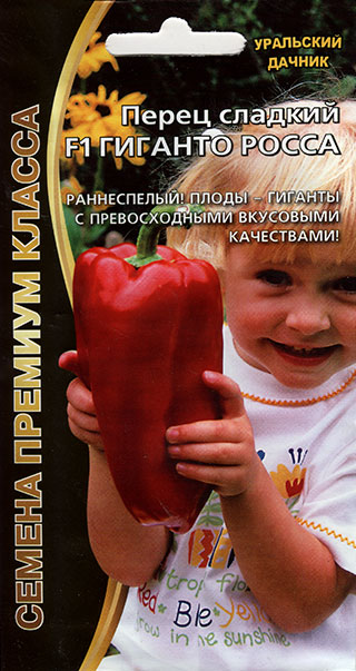 ������ ������ ������ ��������� ������ ����� ������� ������� ����� F1, 20 ��. ������ ������� ������   ����