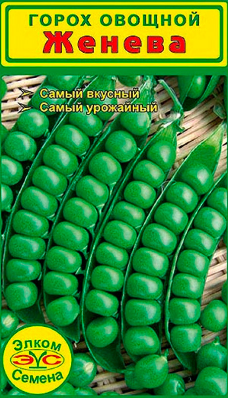 ������ ������ ������ ����� ������ ����� ������, 5 �   ����