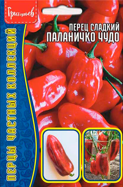 ������ ������ ������ ��������� ����� ������� ��������� ����, 10 ��. ����� ������� ���������   ����