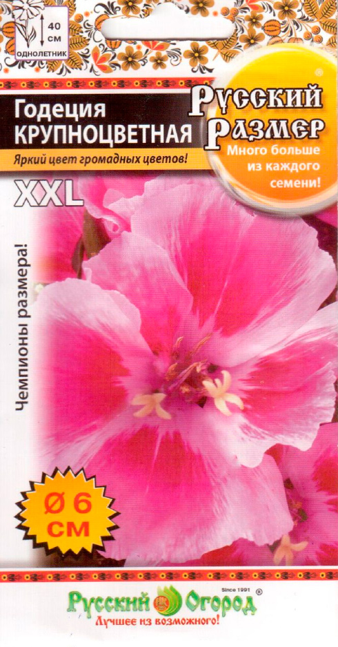 ������ ������ ������ ������� ������ ������� ������������� ������� ������, 100 ��.   ����