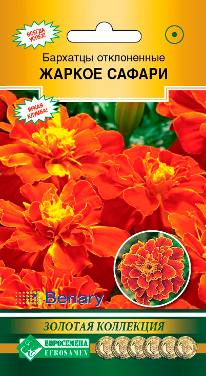 ������ ������ ������ ���������� �������� ����������� ������ ������, 10 ��. Benary ������� ���������   ����