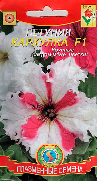 ������ ������ ������ ������� ������� ��������������� �������� F1, 10 �����   ����