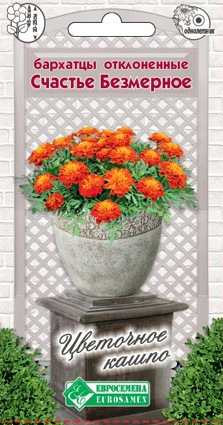 ������ ������ ������ ���������� �������� ����������� ������� ���������, 10 ��. ��������� �����   ����