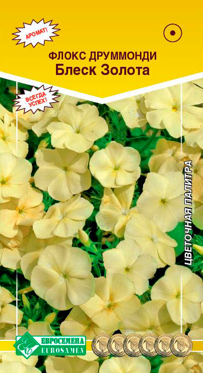 ������ ������ ������ ���������� ����� ��������� ����� ������, 0,1 �   ����