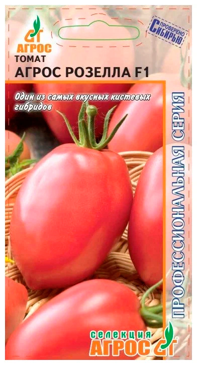 ������ ������ ������ ����� ����� ����� ������� F1, 5 ��. �������� ����� ���������������� �����   ����