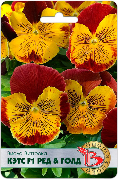 ������ ������ ������ ���������� ����� �������� ���� ��� & ���� F1, 10 ��.   ����