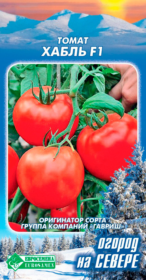 ������ ������ ������ ���������� ����� ����� F1, 10 ��. ������ �� ������   ����