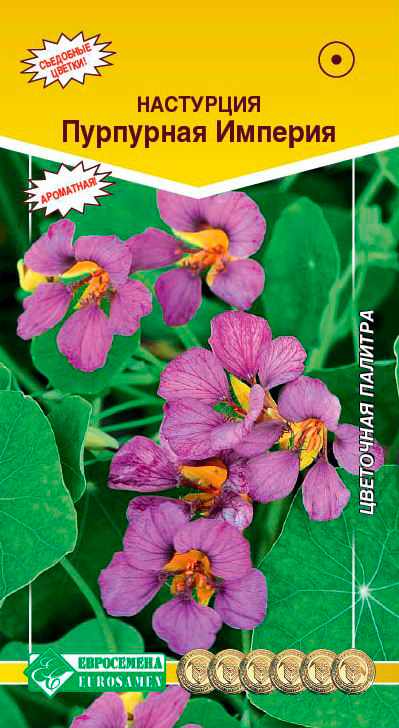 ������ ������ ������ ���������� ��������� ��������� �������, 1 �   ����