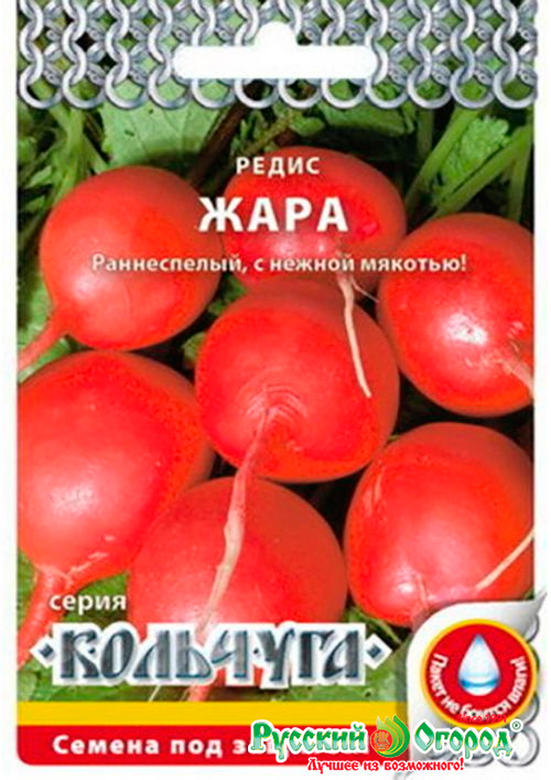 ������ ������ ������ ������� ������ ����� ����, 2 � ��������   ����