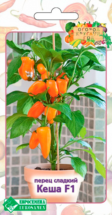 ������ ������ ������ ���������� ����� ������� ���� F1, 3 ��. ������ ������� ���   ����