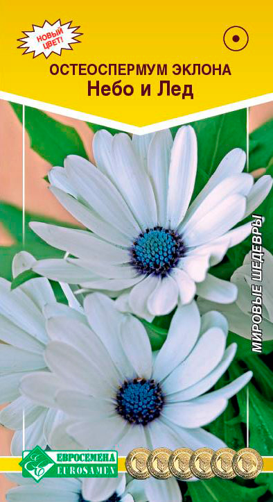 ������ ������ ������ ���������� ������������ ������ ���� � ���, 0,1 � ������� �������   ����