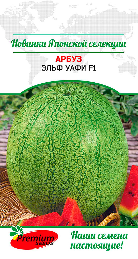   Premium seeds    F1, 5 . Sakata    -     , -, 