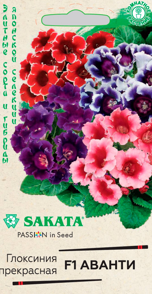 ������ ������ ������ ������ ��������� ������ F1, �����, 4 ��. Sakata   ����