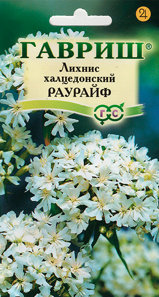 ������ ������ ������ ������ ������ ������������ �������, 0,1 �   ����