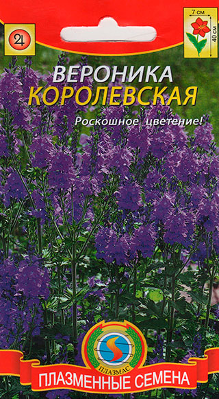 ������ ������ ������ ������� �������� �����������, 0,1 �   ����