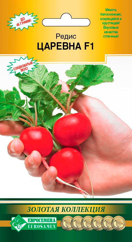 ������ ������ ������ ���������� ����� ������� F1, 0,5 � ������� ���������   ����