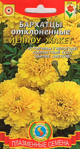 ������ ������ ������ ������� �������� ����������� ������ �����, 45 ��.   ����