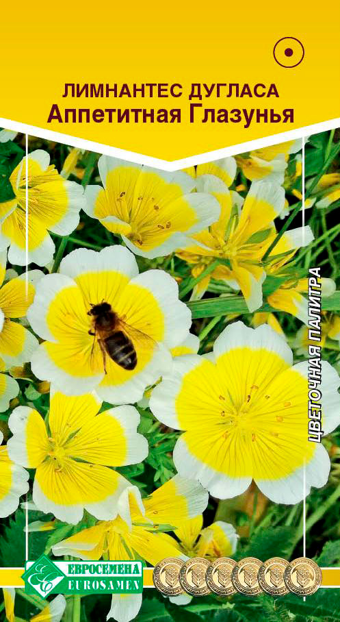 ������ ������ ������ ���������� ��������� ������� ���������� ��������, 10 ��.   ����