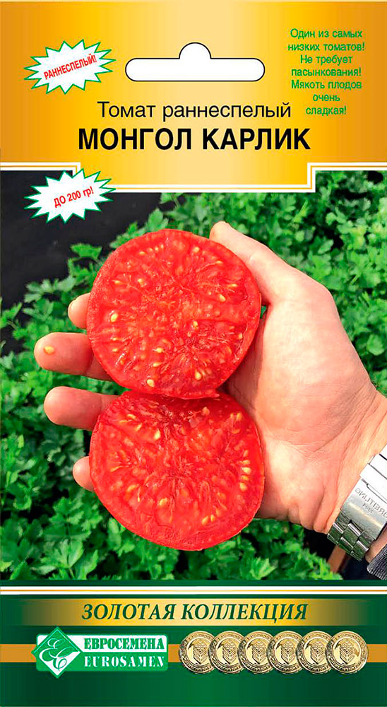 ������ ������ ������ ���������� ����� ������ ������, 10 ��. ������� ���������   ����