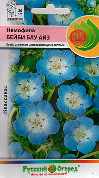 ������ ������ ������ ������� ������ �������� ����� ��� ���, 0,3 �   ����