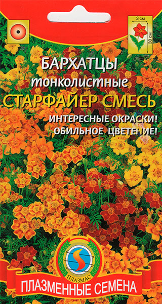 ������ ������ ������ ������� �������� ������������ ���������, �����, 20 ��.   ����