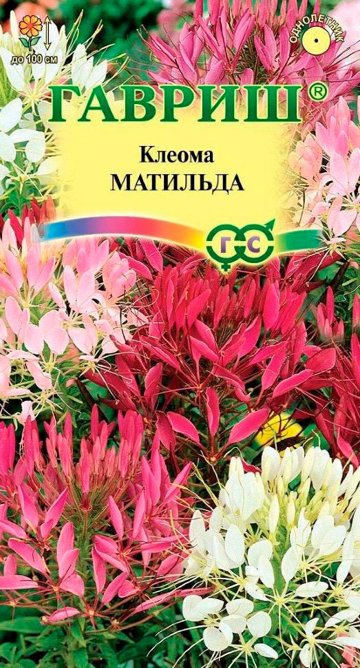 ������ ������ ������ ������ ������ ������� ��������, �����, 0,3 �   ����