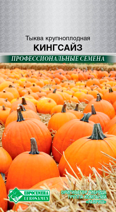 ������ ������ ������ ���������� ����� ������������� ���� ����, 5 ��. ���������������� ������   ����