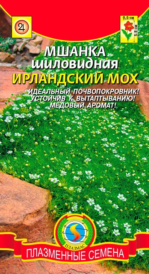 ������ ������ ������ ������� ������ ���������� ���������� ���, 0,01 �   ����