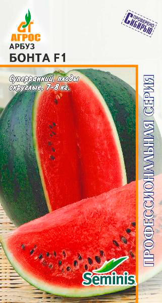 ������ ������ ������ ����� ����� ����� F1, 5 ��. Seminis ���������������� �����   ����