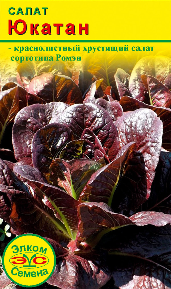 ������ ������ ������ ����� ������ ����� �������, 0,1 �   ����