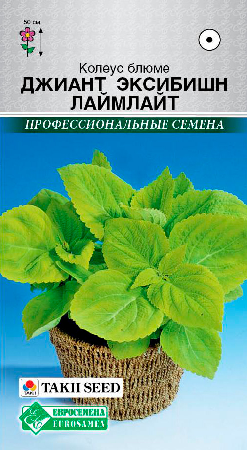 ������ ������ ������ ���������� ������ ����� ������ �������� ��������, 3 ��. Takii ���������������� ������   ����