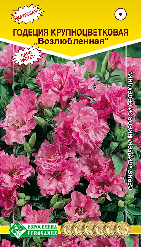 ������ ������ ������ ���������� ������� ��������������� ������������, 0,3 � ������ ������� ��������   ����