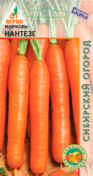 ������ ������ ������ ����� ������� �������, 2 � ��������� ������   ����