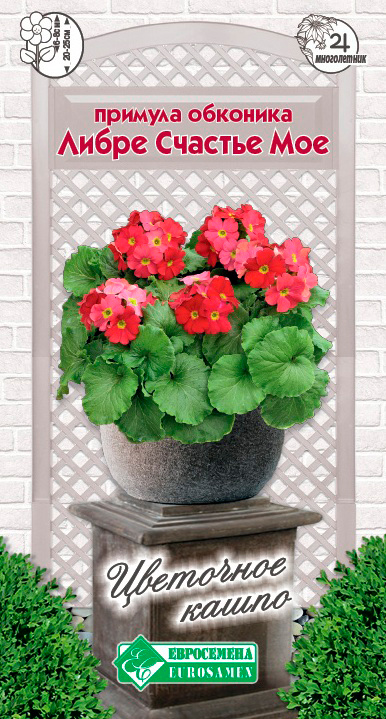 ������ ������ ������ ���������� ������� �������� ����� ������� ���, 5 ��. ��������� �����   ����