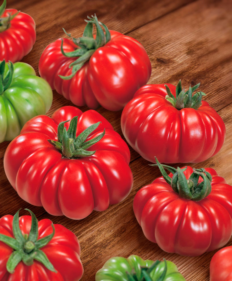 ������ ������ ������ ���� ������ ����� �������� F1, 5 ��.   ����