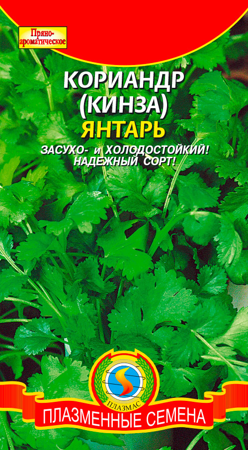 ������ ������ ������ ������� �������� (�����) ������, 2 �   ����