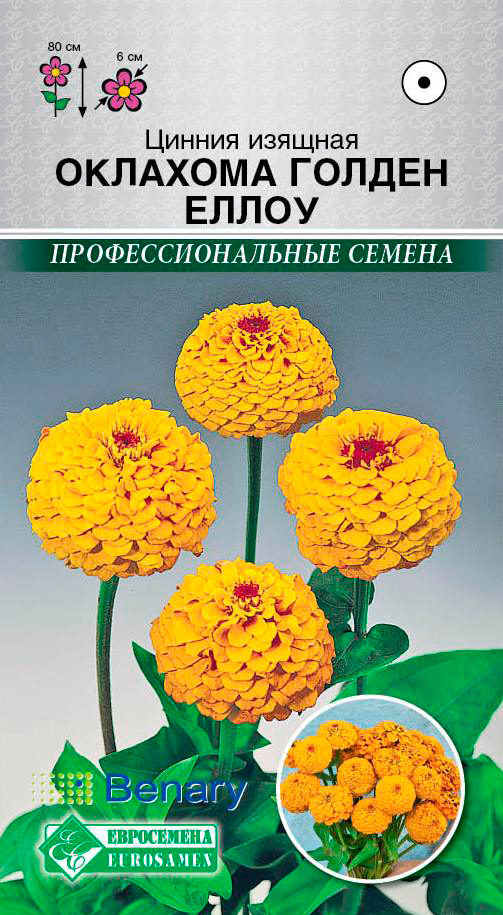 ������ ������ ������ ���������� ������ ������� �������� ������ �����, 10 ��. Benary ���������������� ������   ����