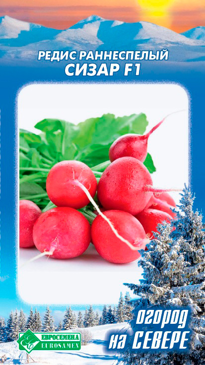 ������ ������ ������ ���������� ����� ����� F1, 0,5 � ������ �� ������   ����