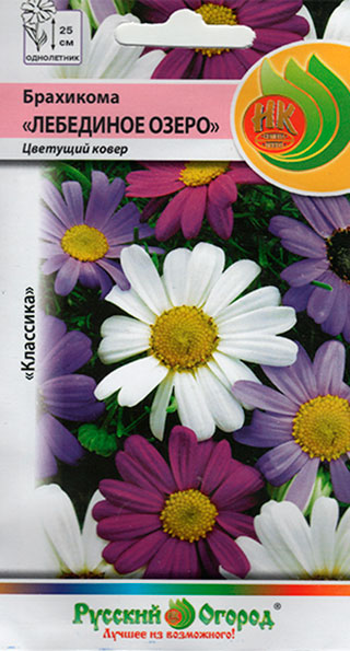 ������ ������ ������ ������� ������ ��������� ��������� �����, �����, 0,1 �   ����