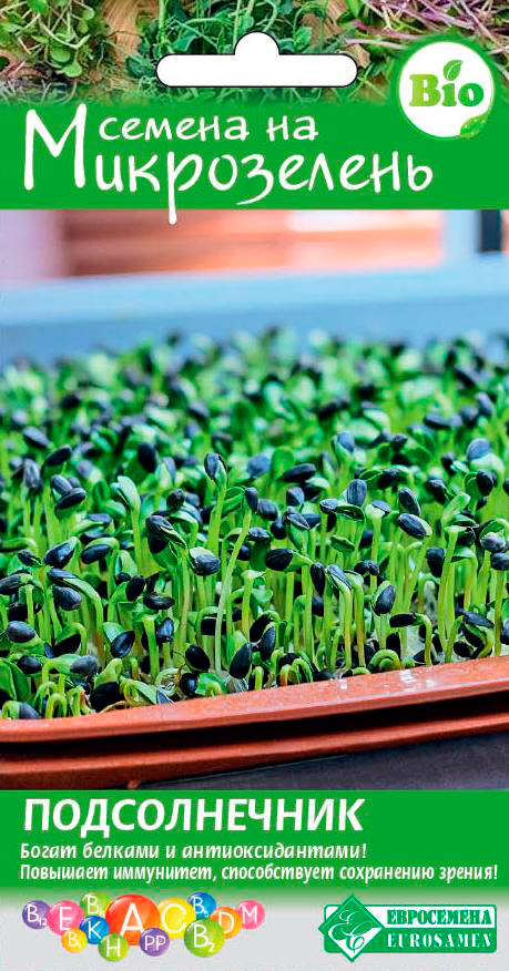 ������ ������ ������ ���������� ����������� ������������, 10 �   ����