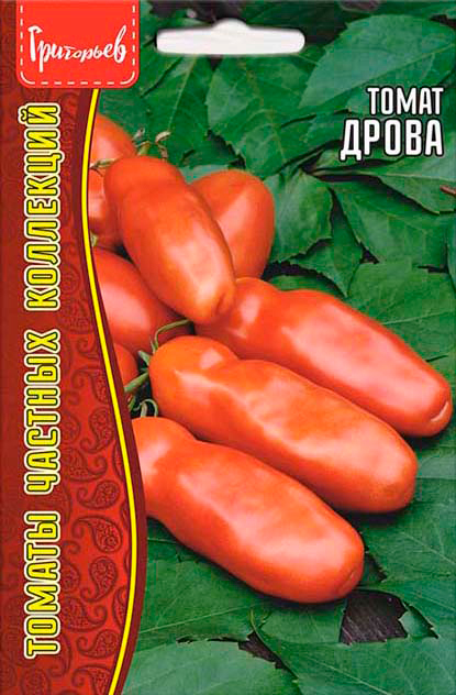 ������ ������ ������ ��������� ����� �����, 10 ��. ������ ������� ���������   ����