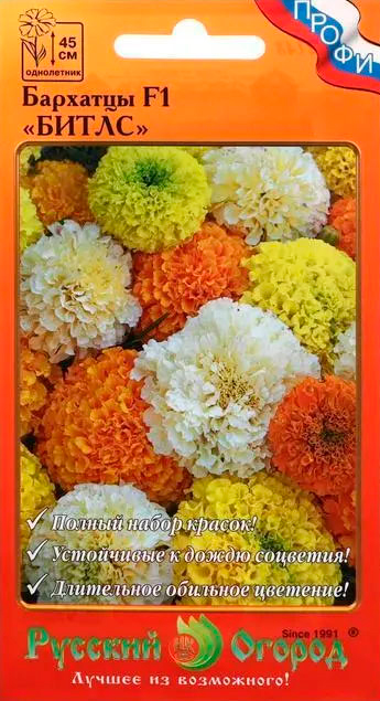 ������ ������ ������ ������� ������ �������� ����� F1, ����� 12 ��. �����   ����