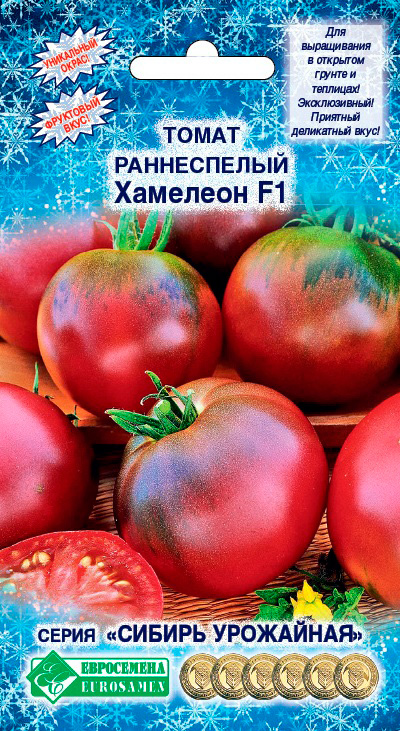 ������ ������ ������ ���������� ����� �������� F1, 10 ��. ������ ���������   ����